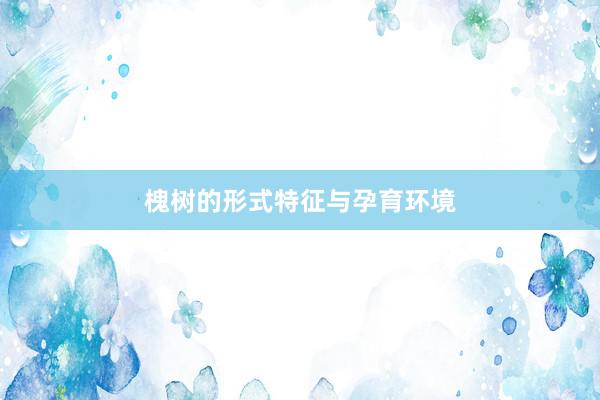 槐树的形式特征与孕育环境