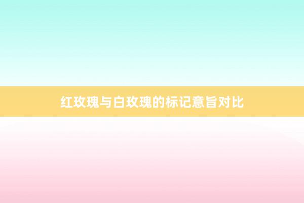 红玫瑰与白玫瑰的标记意旨对比
